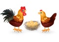 Rooster, chicken and eggs in the nest Vector. Eco farmings Royalty Free Stock Photo