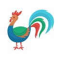 Rooster chicken. Farm bird with a bright feather