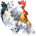 rooster and chicken illustration with splash watercolor textured background.