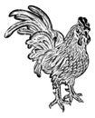 Rooster Chicken Woodcut