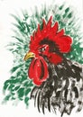 Rooster closeup artwork portrait