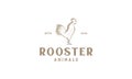 Rooster or cock crows engraved vintage logo vector illustration design Royalty Free Stock Photo