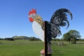 Rooster on a fence of a chicken farm