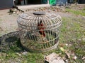 Rooster or Cockerel in a Cage Royalty Free Stock Photo