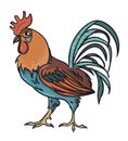 Rooster