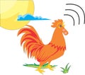 Rooster