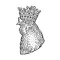 Rooster in the crown sketch vector illustration