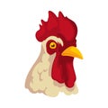 rooster face deisgn