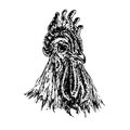 Rooster face portrait, doodle drawing, woodcut style