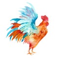 Rooster Flapping its Wings Watercolor illustration. Domestic Chickens. Animal illustration Royalty Free Stock Photo