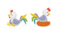 Rooster Funny Character with Bright Feathers Sitting in the Nest Vector Set