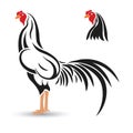 Rooster