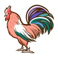 Rooster hand drawn icon. Cockerel, cock, red junglefowl. Domestic bird. Barnyard fowl. Hennery.