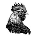 Rooster head farm sketch hand drawn in doodle style Farming Royalty Free Stock Photo