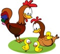 Rooster, hen and chickens cartoon Royalty Free Stock Photo