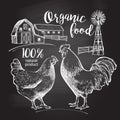 Rooster hen farm Royalty Free Stock Photo