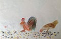 Rooster, hens and many many chicks Royalty Free Stock Photo