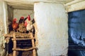 Rooster and hens roosting in an agricultural chicken coop