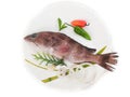 Rooster hind grouper or Pink Grouper decorated on a white plate.Selective focus