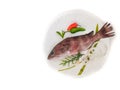 Rooster hind grouper or Pink Grouper decorated on a white plate.Selective focus