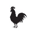 Rooster icon design