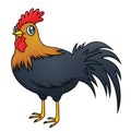 Rooster