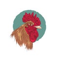 Rooster logo design in hand drawn style Royalty Free Stock Photo