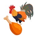 Rooster meat icon isometric vector. Roasted meat leg on background of cock icon