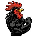 Rooster Muscle Arm Fighting Sports Mascot Logo Character Design Vector Cartoon Illustration