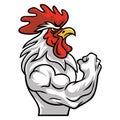 Rooster Muscle Arm Fighting Sports Mascot Logo Character Design Vector Illustration
