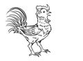 Rooster Outline Drawing Black and White