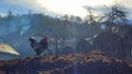 Rooster on pile of manure Royalty Free Stock Photo