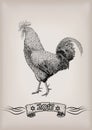 Rooster red chicken cockerel new year symbol 2017 graphic c