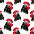 Rooster seamless pattern. Watercolor farm birds illustration Royalty Free Stock Photo