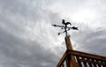 A rooster shaped weathervane