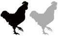 Rooster silhouette - cockerel or cock, is a male gallinaceous bird