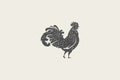 Rooster silhouette for poultry farm industry hand drawn stamp effect vector illustration.
