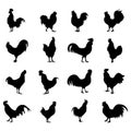 Rooster Silhouette