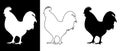 Rooster Silhouette Vector Set: Black, White, and Outline Illustrations on Contrasting Backgrounds Royalty Free Stock Photo