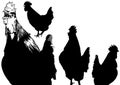 Rooster Silhouettes Set Royalty Free Stock Photo