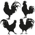 Rooster silhouettes set. Vector illustration Royalty Free Stock Photo