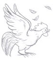 Rooster sketch