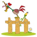 Rooster Stepped On The Fence Royalty Free Stock Photo