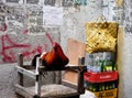 Rooster on street in Manila, Philippines