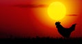 rooster on sunset Royalty Free Stock Photo