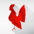 Rooster