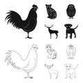 Rooster, tiger, deer, owl and other animals.Animals set collection icons in black,outline style vector symbol stock