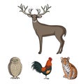 Rooster, tiger, deer, owl and other animals.Animals set collection icons in cartoon style vector symbol stock Royalty Free Stock Photo