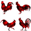 Rooster, triangular geometric polygonal roosters, illustration of on white background Royalty Free Stock Photo