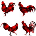 Rooster, triangular geometric polygonal roosters, illustration of on white background